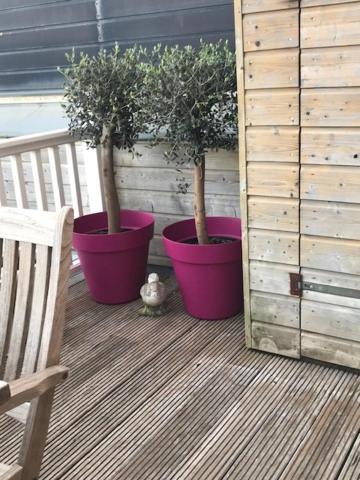 Apartmán At Sea Katwijk aan Zee Exteriér fotografie